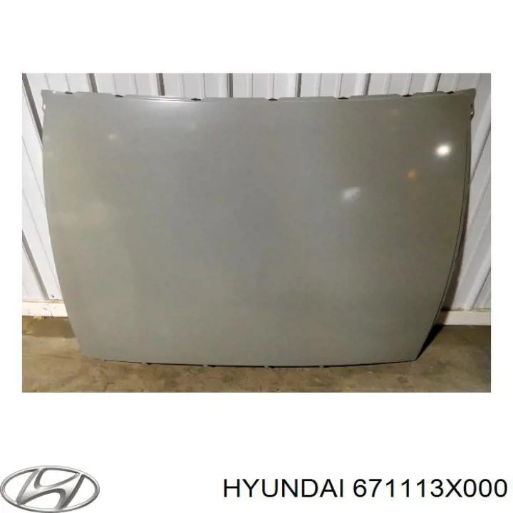 Дах Hyundai Elantra (MD) (Хендай Елантра)
