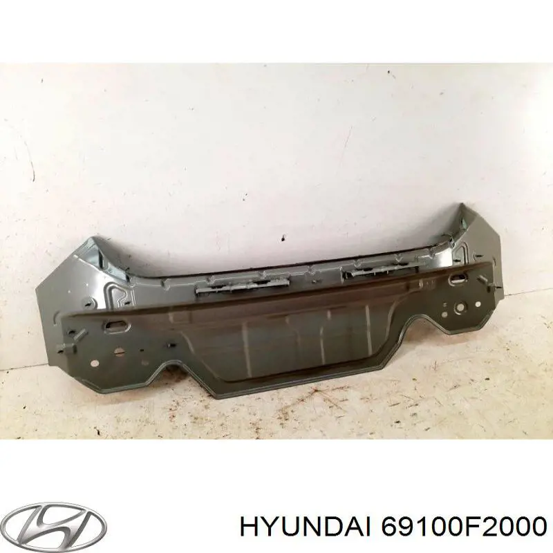 69100F2000 Hyundai/Kia Перегородка