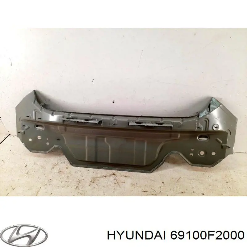 Купити 69100F2000 Hyundai/Kia Панель задня, багажного відсіку