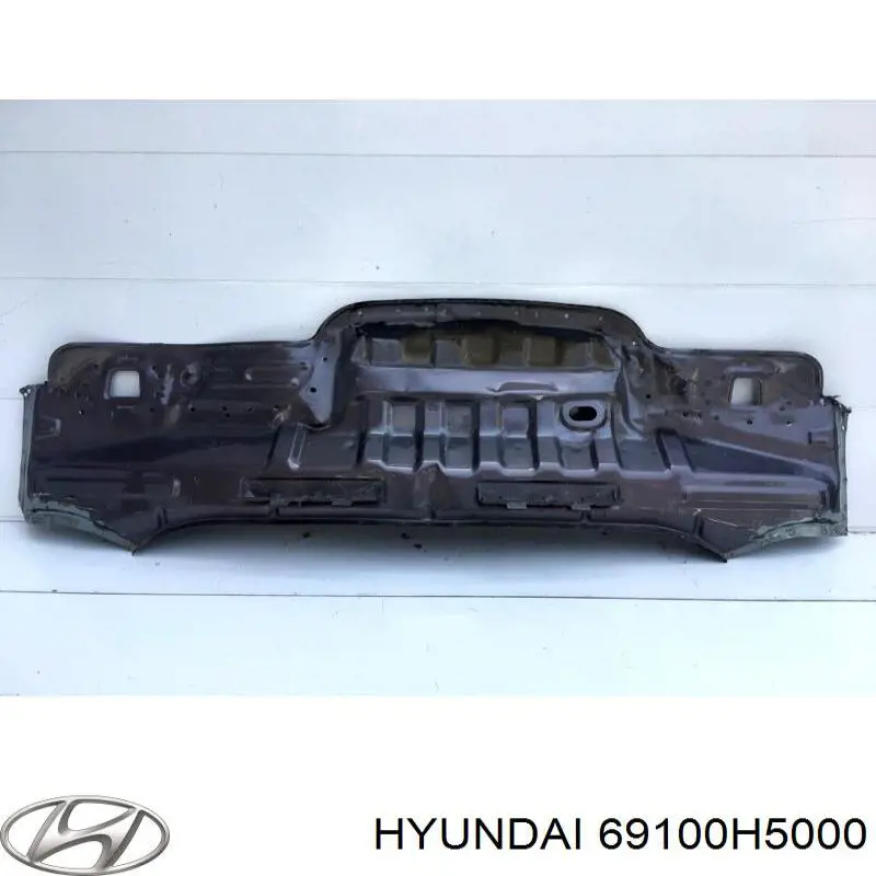 69100H5000 Hyundai/Kia Перегородка