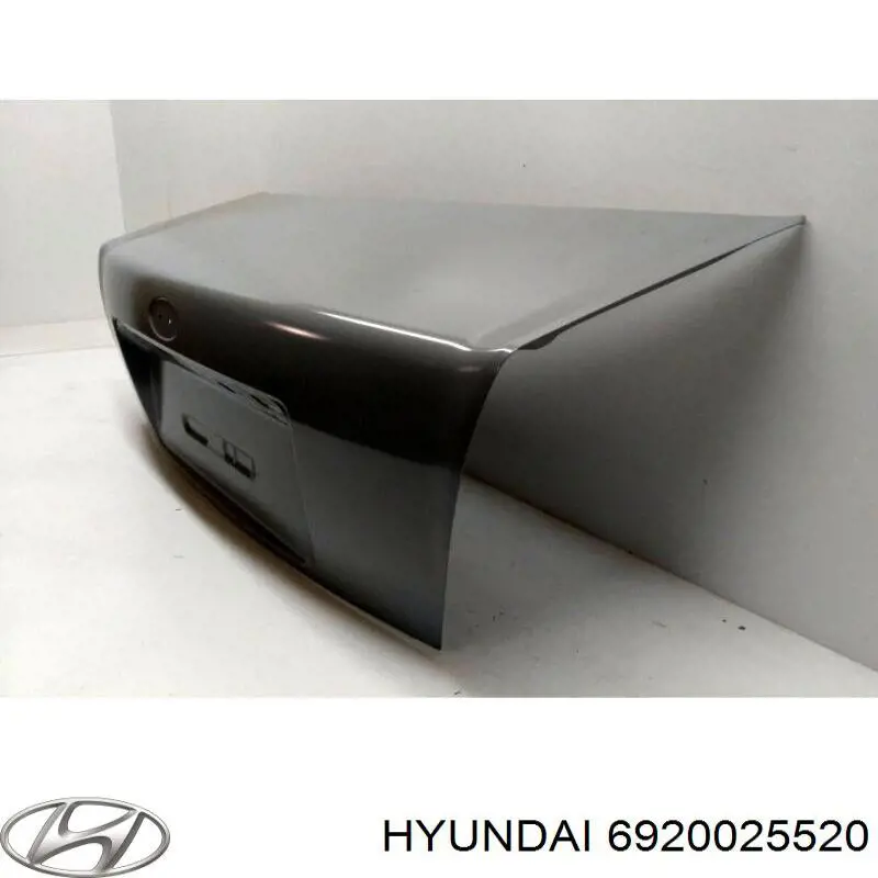 6920025520 Hyundai/Kia кришка багажника