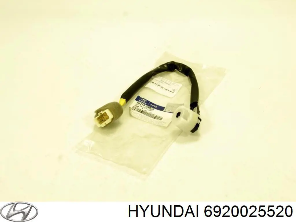 Купити Кришка багажника Hyundai Accent II LC