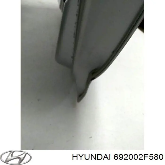 692002F580 Hyundai/Kia Кришка багажника