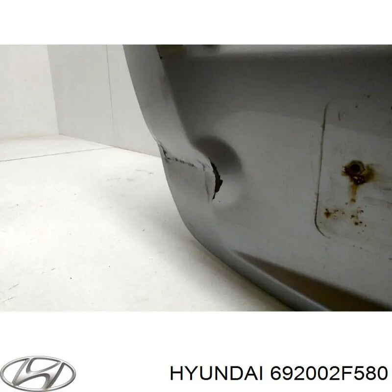 Купити 692002F580 Hyundai/Kia Кришка багажника