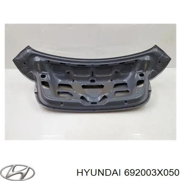 Кришка багажника Hyundai/Kia 692003X050 ціна, від 180.87 USD