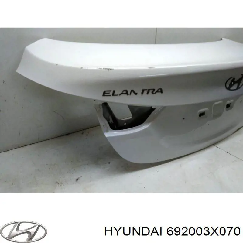 Кришка багажника Hyundai/Kia 692003X070 ціна, від 181.46 USD