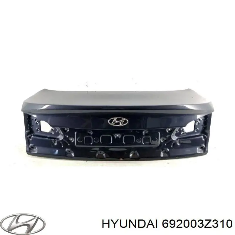 Кришка багажника Hyundai/Kia 692003Z310 ціна, від 190.25 USD