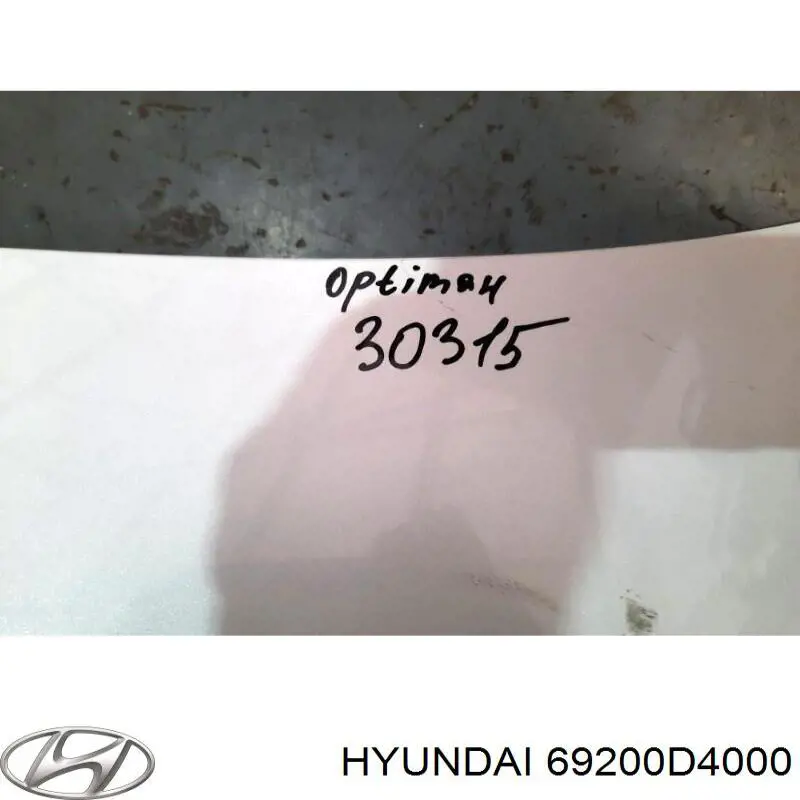 Купити 69200D4000 Hyundai/Kia Кришка багажника