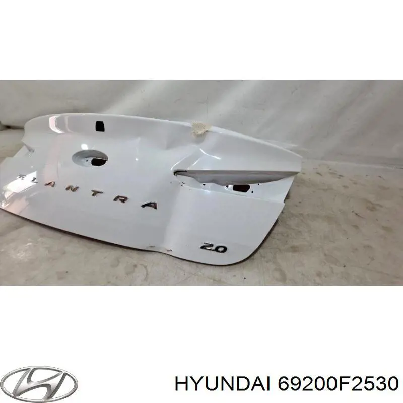 Кришка багажника Hyundai/Kia 69200F2530 ціна, від 1026.99 USD
