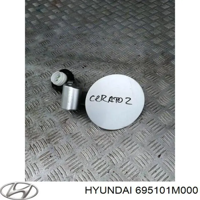 Купити 695101M000 Hyundai/Kia Лючок (дверцята) бензобака