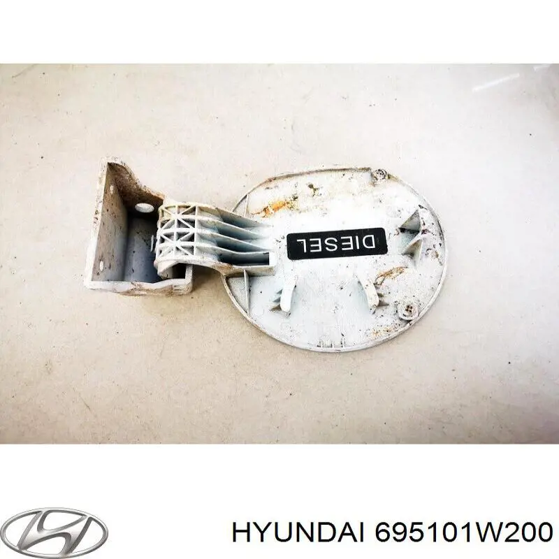 695101W200 Hyundai/Kia Дверцята бензобака