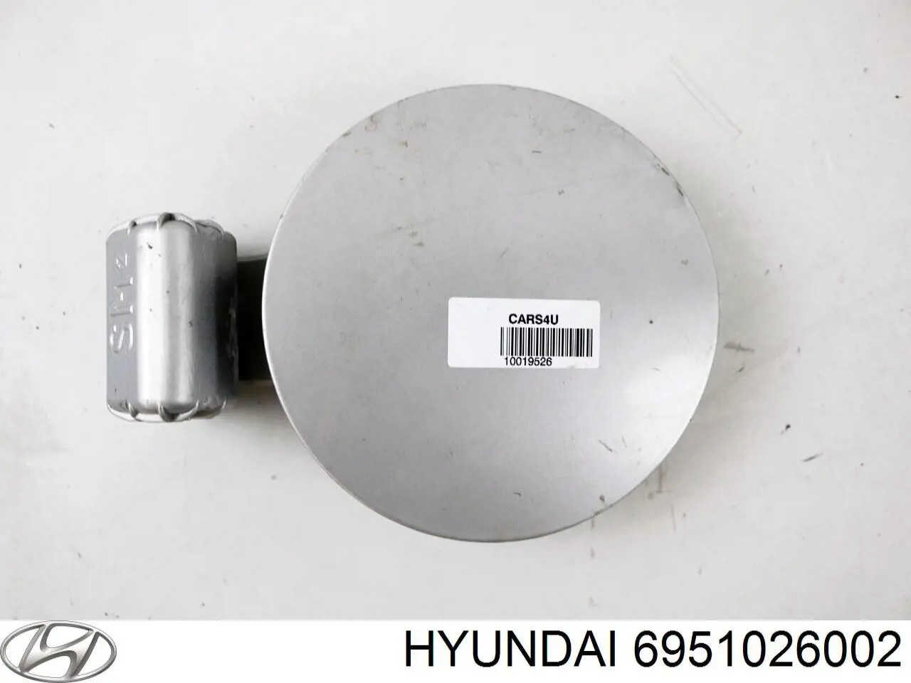 6951026002 Hyundai/Kia Дверцята бензобака