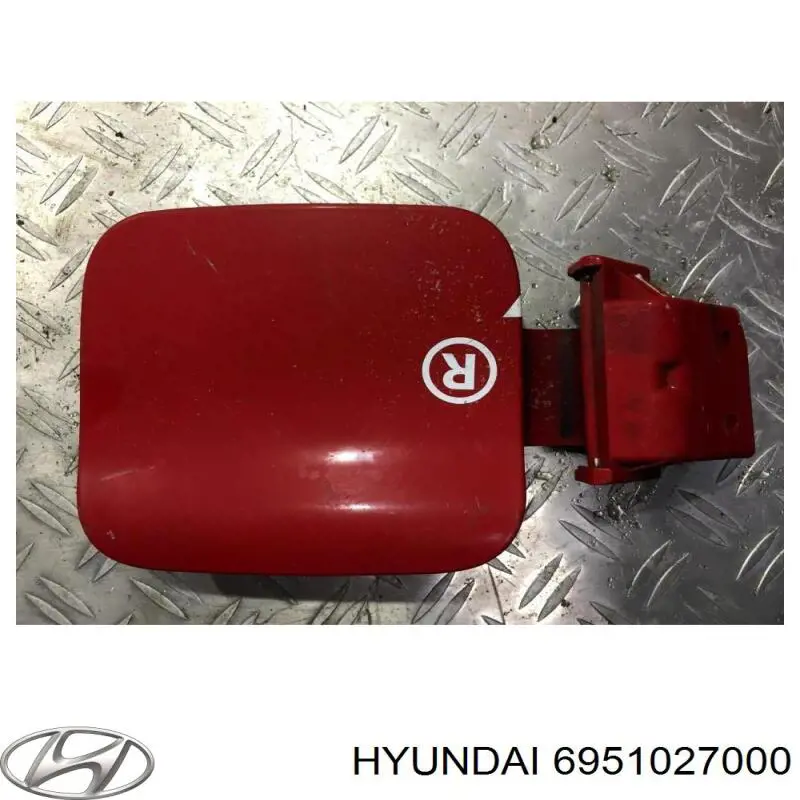 6951027000 Hyundai/Kia Дверцята бензобака