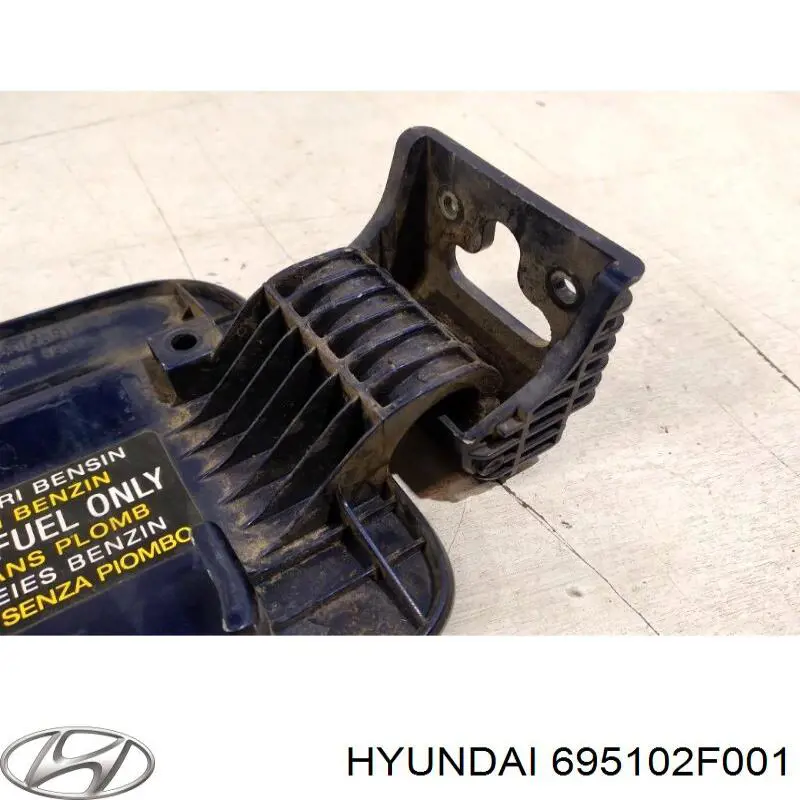 Купити 695102F001 Hyundai/Kia Лючок (дверцята) бензобака