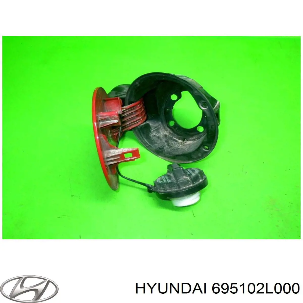 695102L000 Hyundai/Kia Дверцята бензобака