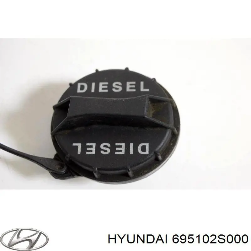 Купити 695102S000 Hyundai/Kia Лючок (дверцята) бензобака