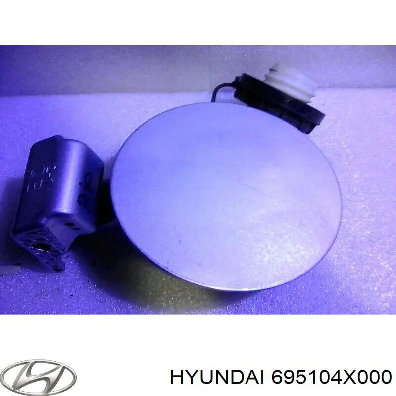 695104X000 Hyundai/Kia Дверцята бензобака
