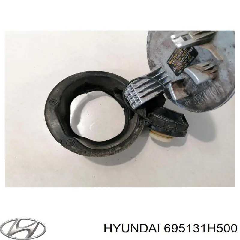 Горловина б/бака Hyundai/Kia 695131H500 ціна, від 3.80 USD