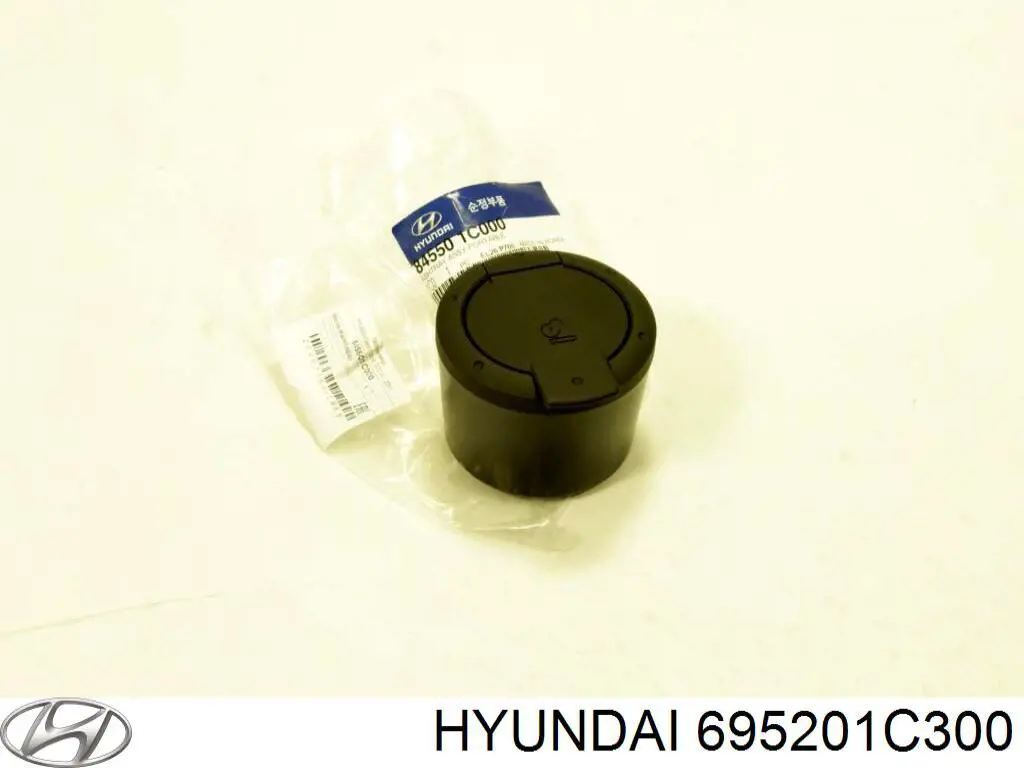 695201C300 Hyundai/Kia 