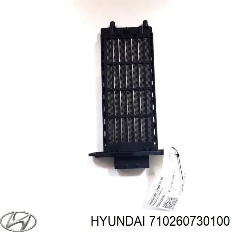 710260730100 Hyundai/Kia 