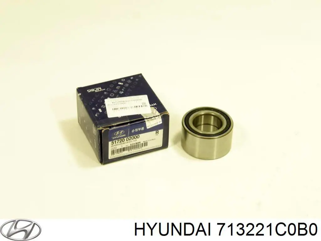 713221C0B0 Hyundai/Kia 