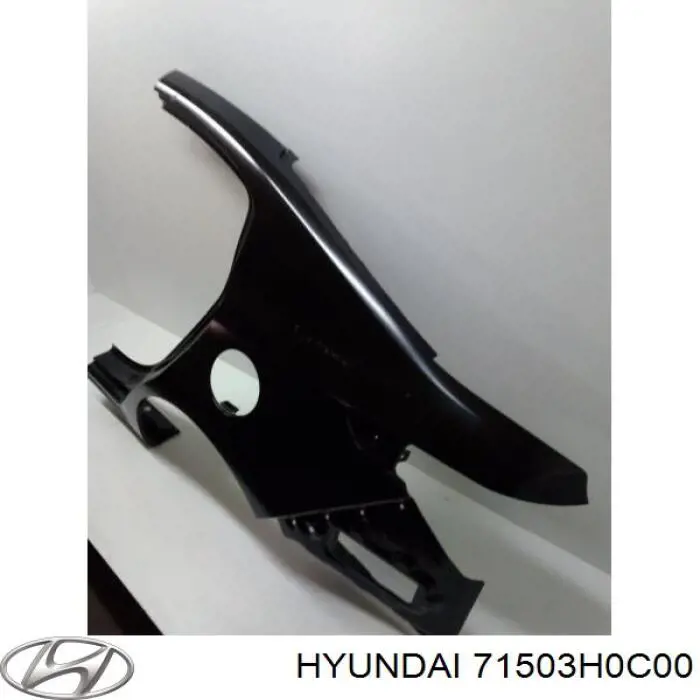 Купити 71503H0C00 Hyundai/Kia Крило заднє ліве