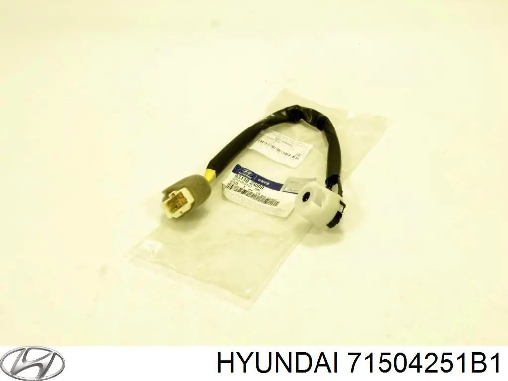 71504251B1 Hyundai/Kia крило заднє праве