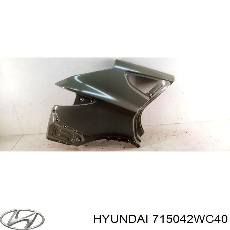 715042WC40 Hyundai/Kia Крило заднє праве