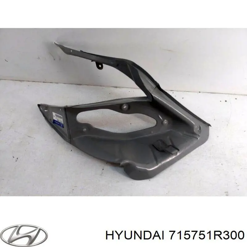 715751R300 Hyundai/Kia панель кріплення задніх ліхтарів