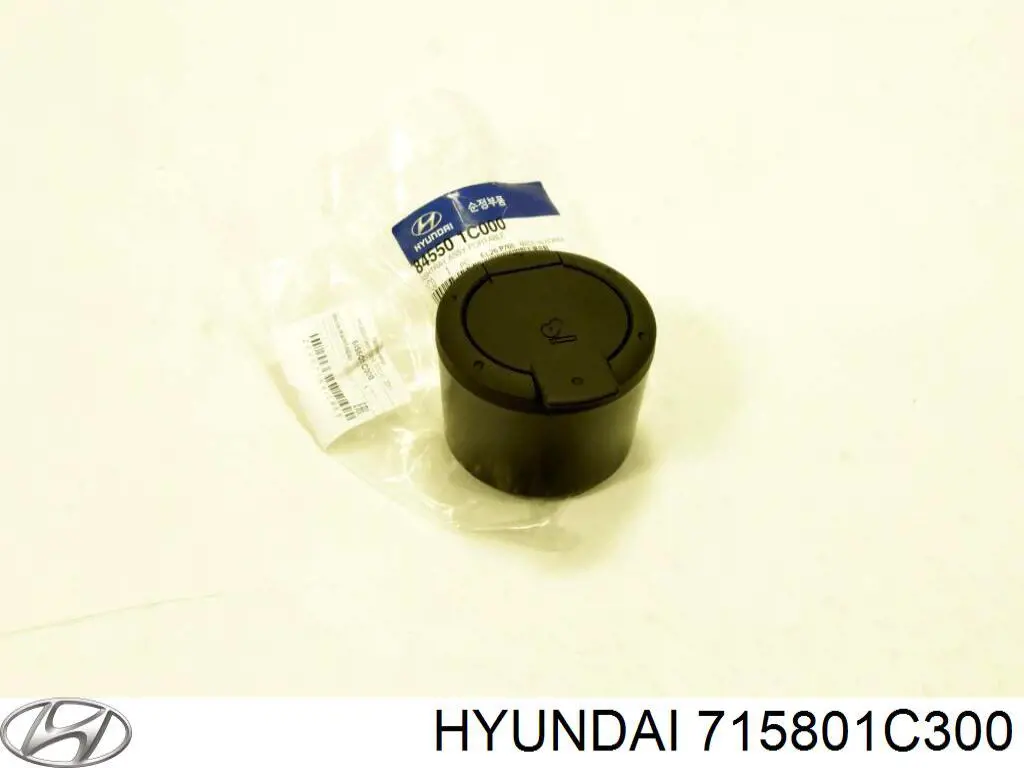 715801C300 Hyundai/Kia 