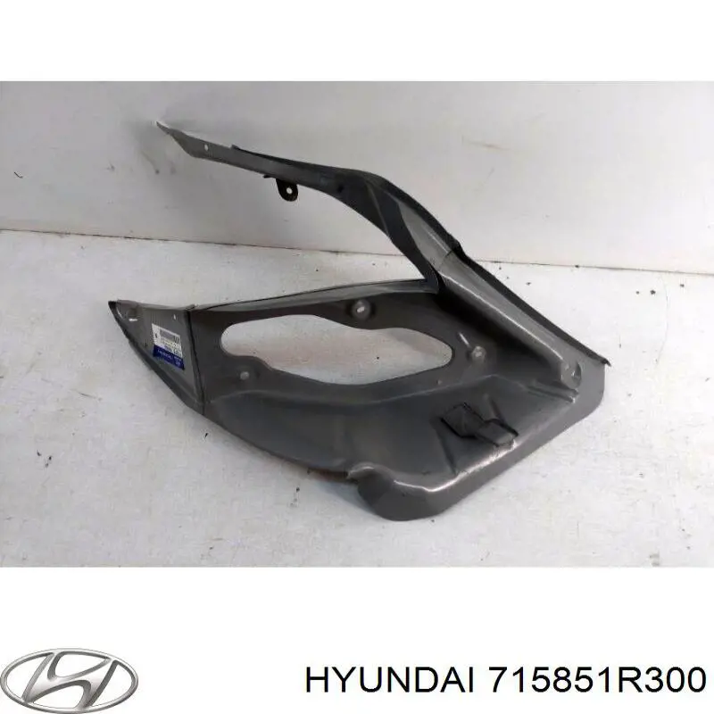 Панель кріплення задніх ліхтарів Hyundai/Kia 715851R300 ціна, від 117.54 USD