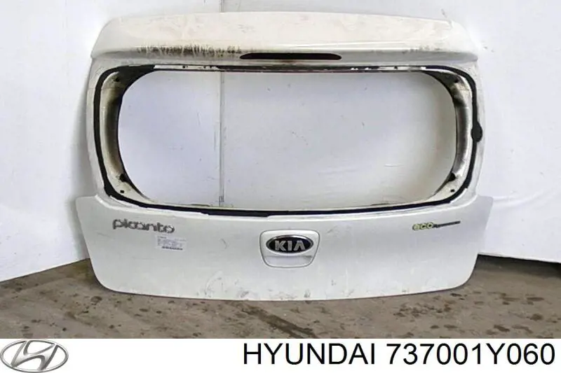 737001Y060 Hyundai/Kia Треті двері
