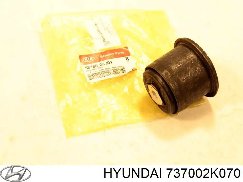 737002K070 Hyundai/Kia Треті двері