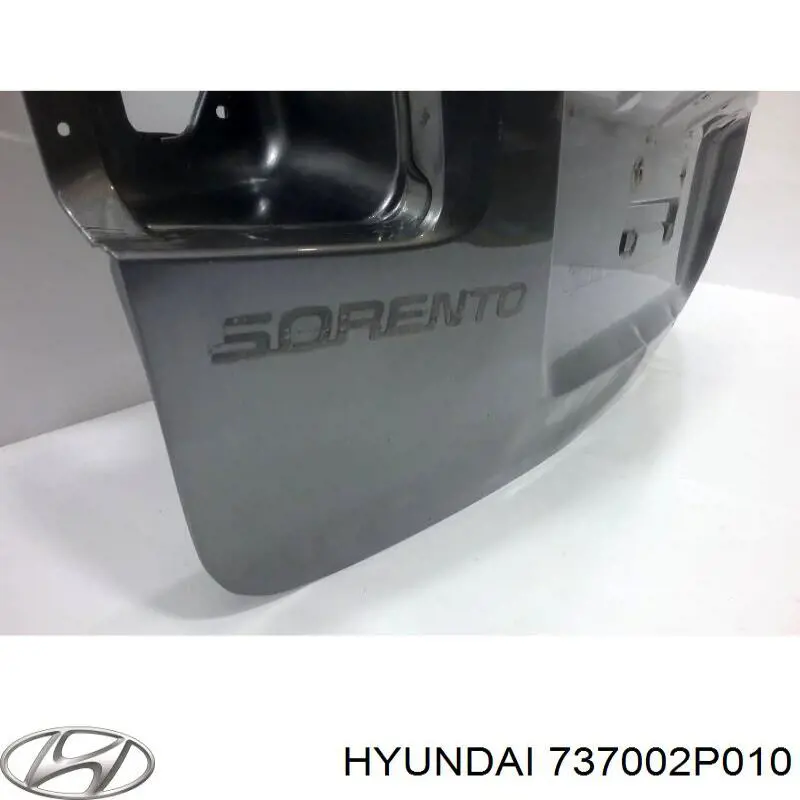 737002P010 Hyundai/Kia Треті двері