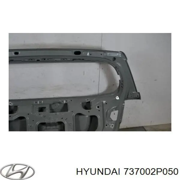 Купити 737002P050 Hyundai/Kia Задня ляда