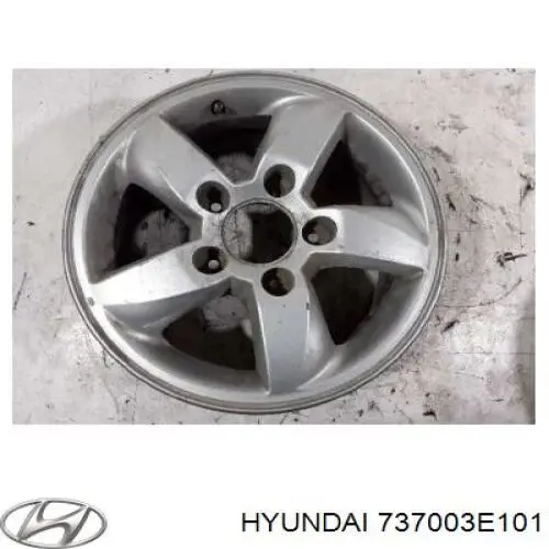 П'яті двері Hyundai/Kia 737003E101 ціна, від 78.92 USD
