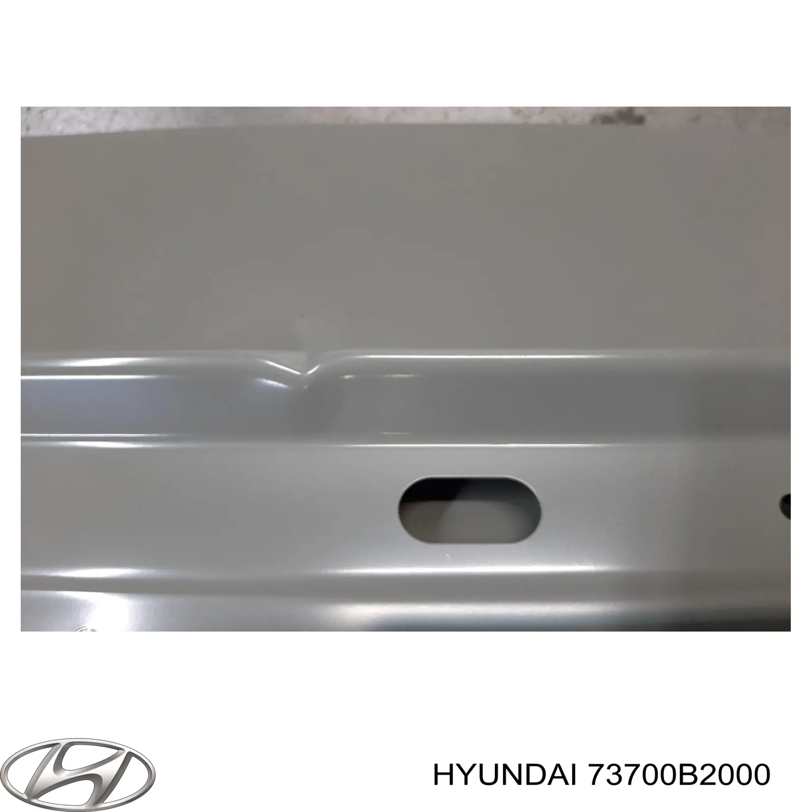 Двері багажника Hyundai/Kia 73700B2000