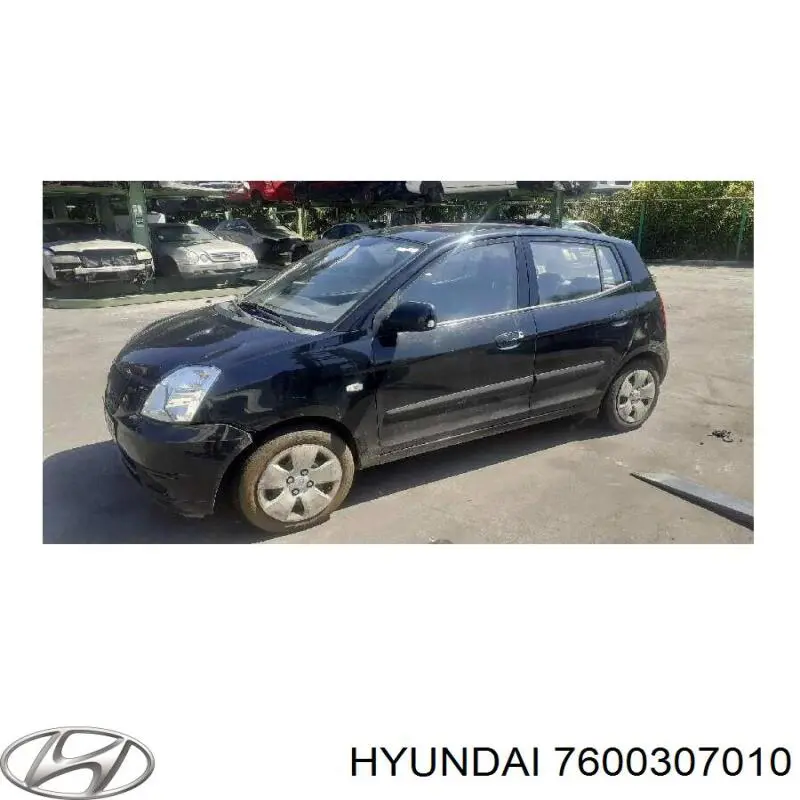 Купити 7600307010 Hyundai/Kia Двері кабіни