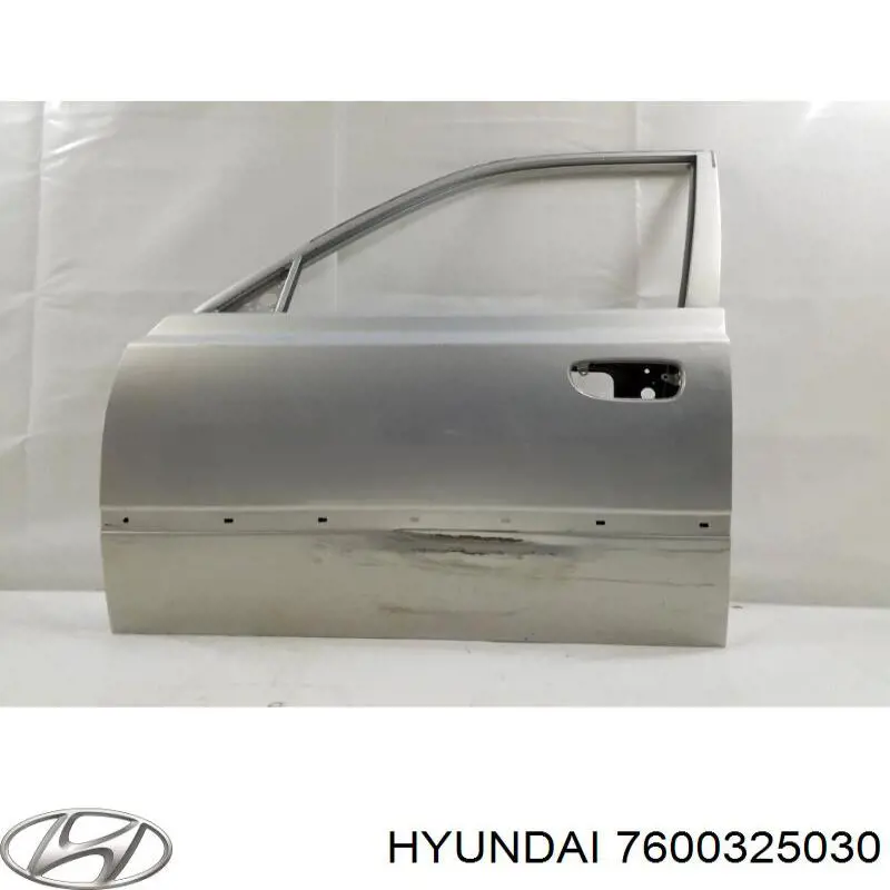 Двері передні, ліві Hyundai/Kia 7600325031 ціна, від 41.76 USD