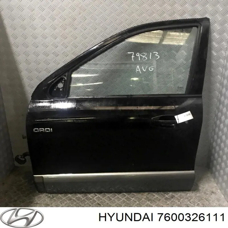 Двері передні, ліві Hyundai Santa Fe I позашляховик (SM) (2000 - 2006) ціна, від 83.24 USD