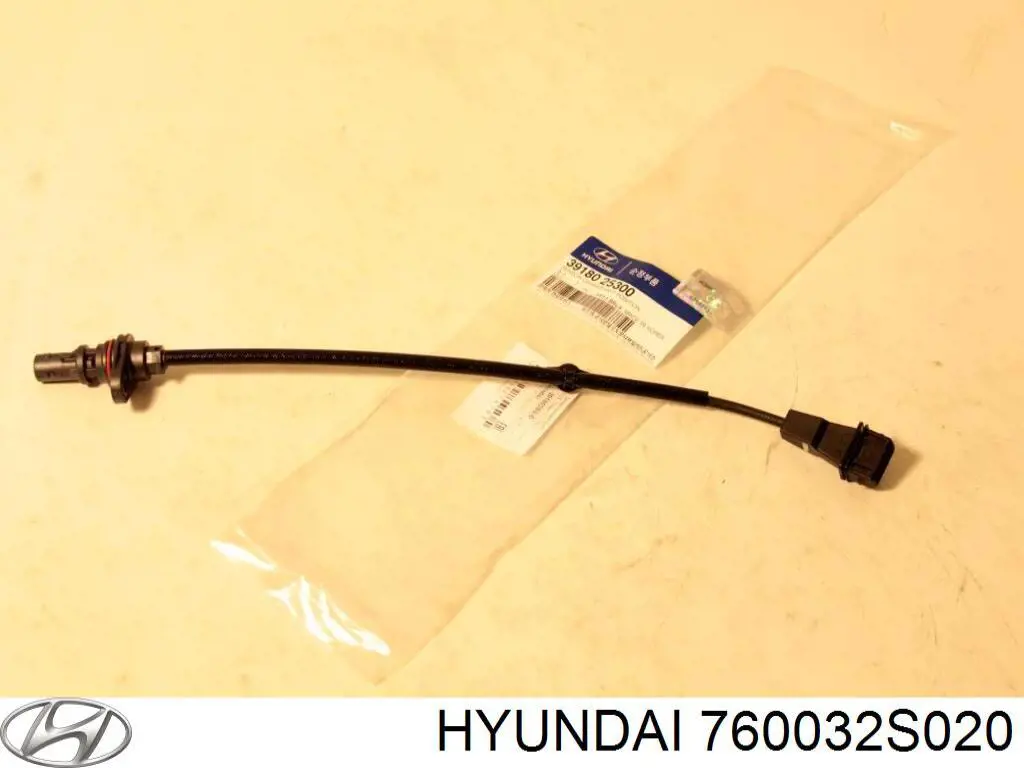Купити 760032S020 Hyundai/Kia Двері кабіни