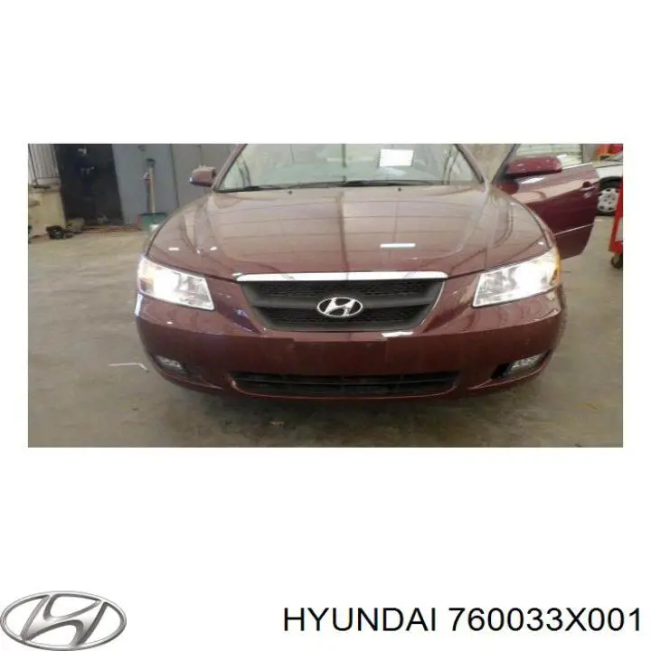 Купити 760033X001 Hyundai/Kia Двері кабіни