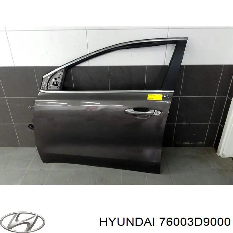 Двері передні ліві 76003D9000 Hyundai/Kia