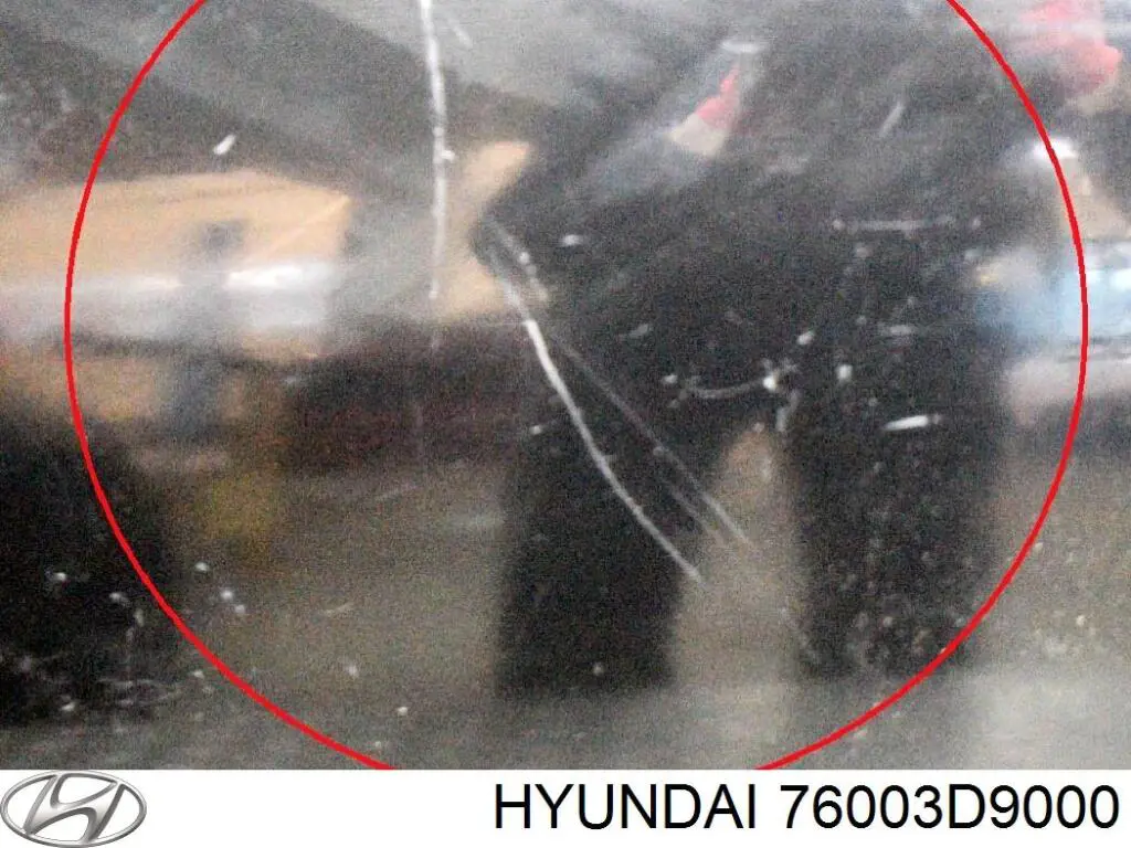 Двері передні, ліві Hyundai/Kia 76003D9000 ціна, від 410.22 USD