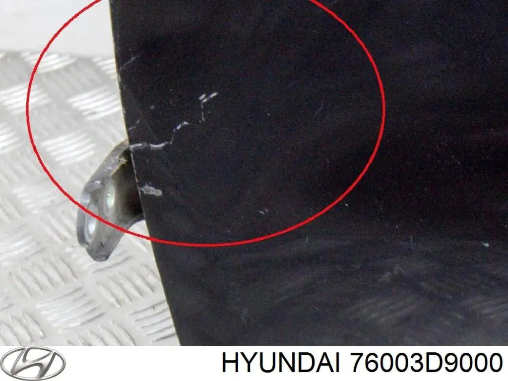 Купити 76003D9000 Hyundai/Kia Двері кабіни