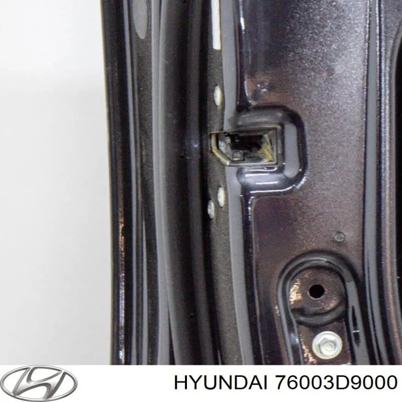 Водійські двері Hyundai/Kia 76003D9000