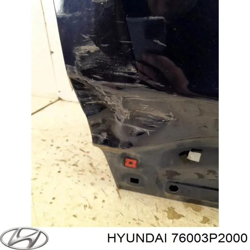 76003P2000 Hyundai/Kia Дверь передня ліва