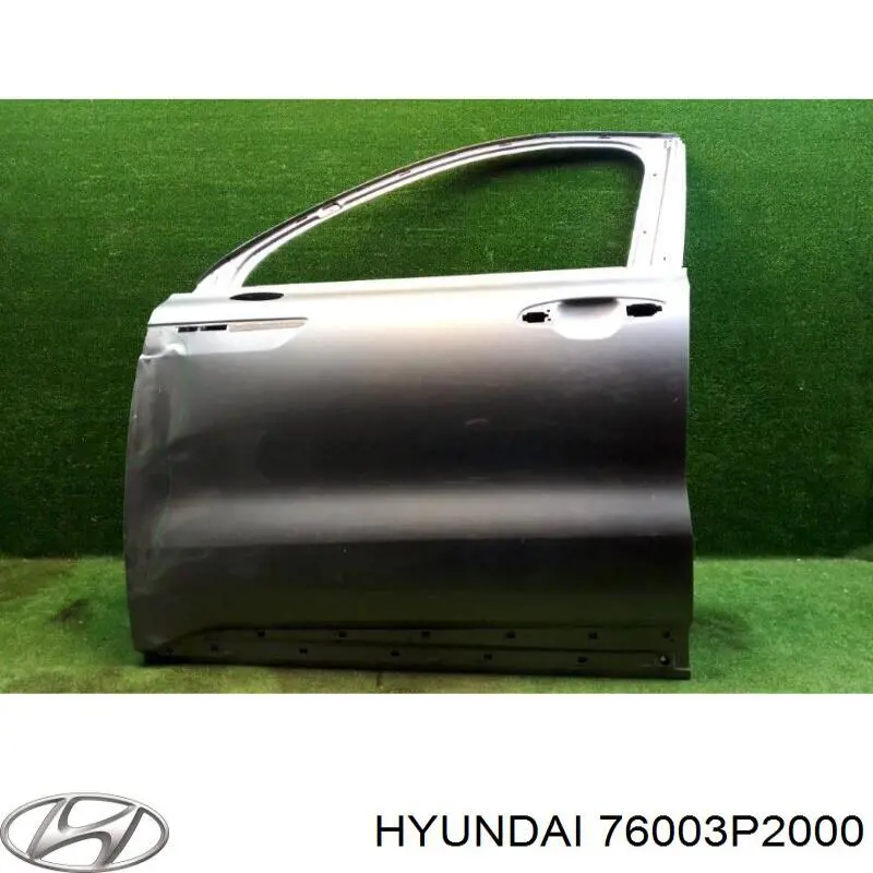 Купити 76003P2000 Hyundai/Kia Двері кабіни