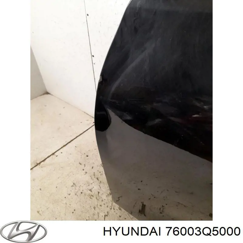 76003Q5000 Hyundai/Kia Дверь передня ліва
