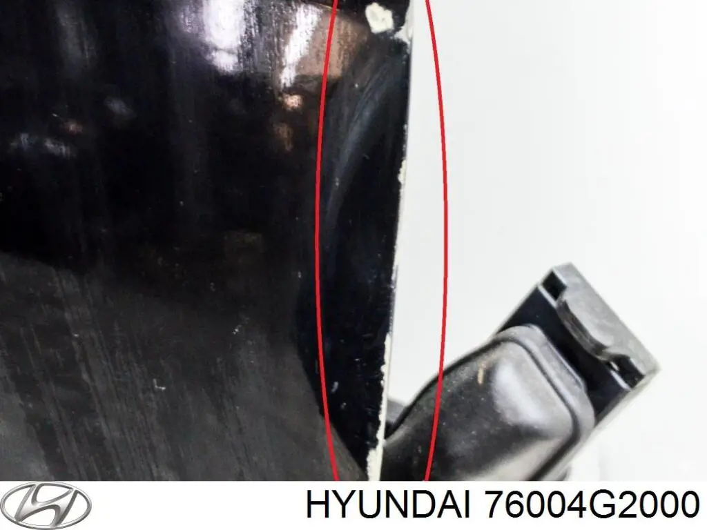 76004G2000 Hyundai/Kia Пасажирські передні двері
